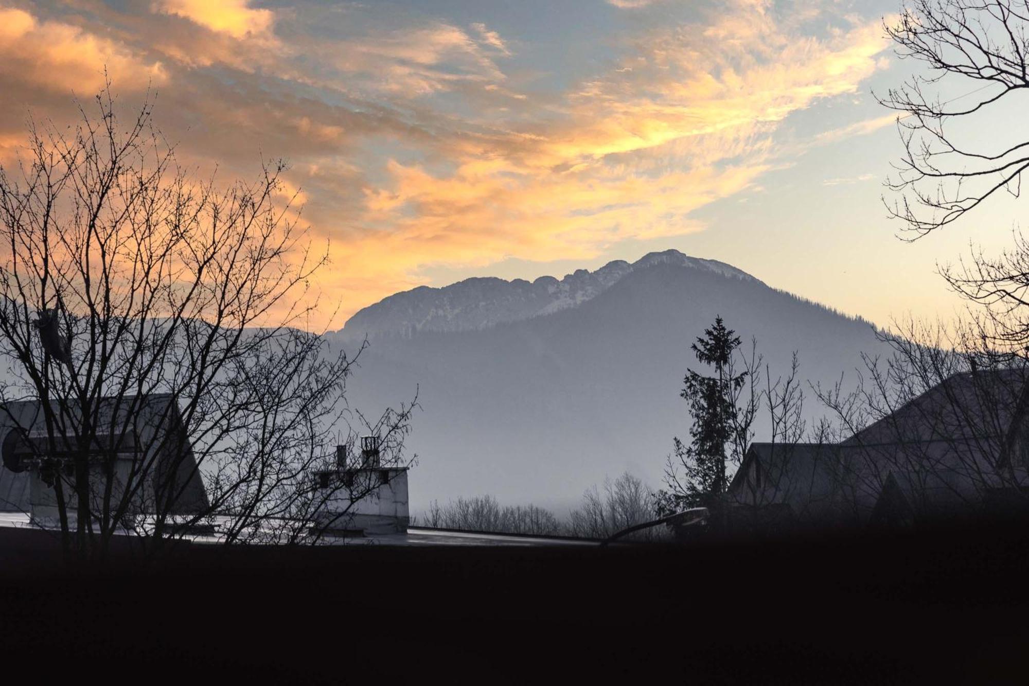 Mira Centrum Apartment Zakopane